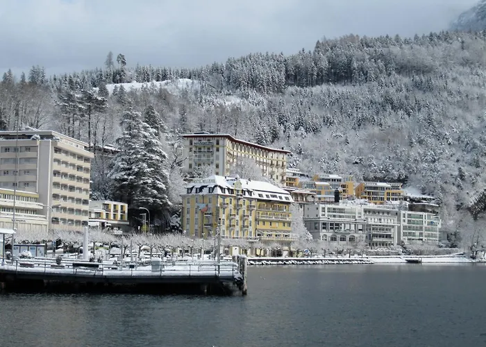 City Hotel